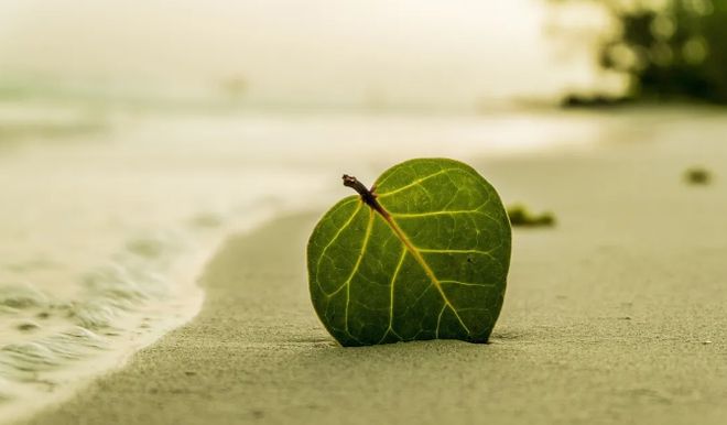 程度已经不是讽刺的问题了！pg模拟器电脑版缺德到这种(图2)